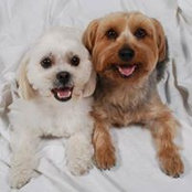 Ann Westrick Matthews's photo