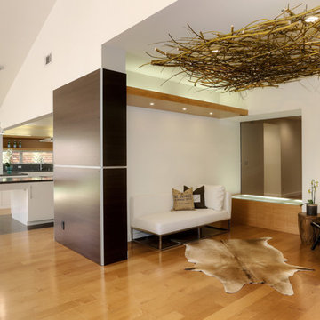 Berkeley Modern Home Renovation