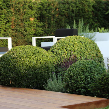"Chelsea" Garden