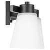 Prominence Home Fairendale Bath and Vanity Light, Matte Black, 3 Light, Frosted Glass