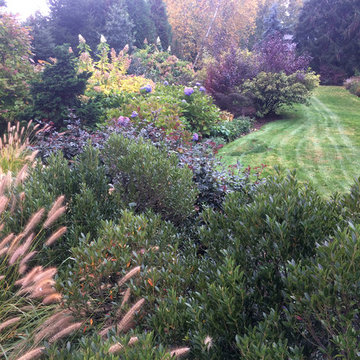 Meadow Planting, Westport CT