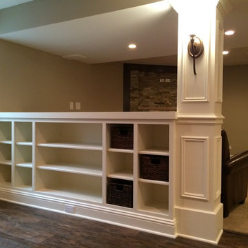 Elburn Lower Level
