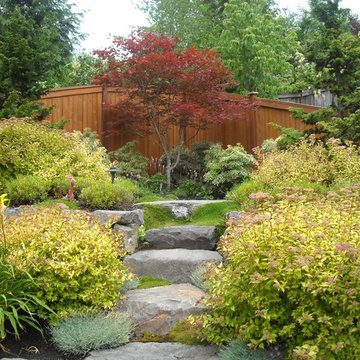Nature's Stairway