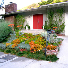 California Native