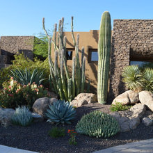 Landscape Ideas