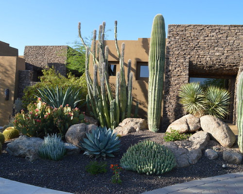 Southwestern Landscape Ideas, Designs, Remodels & Photos