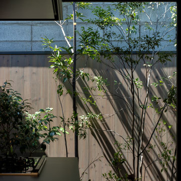 建築の美しさを引き立てる 極小スペースの植栽