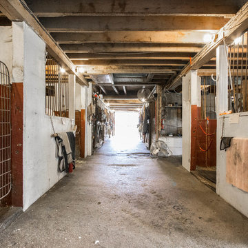 MIddleburry Horse Farm