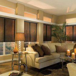 Comfortex Envision Roller Shades - Cellular Shades