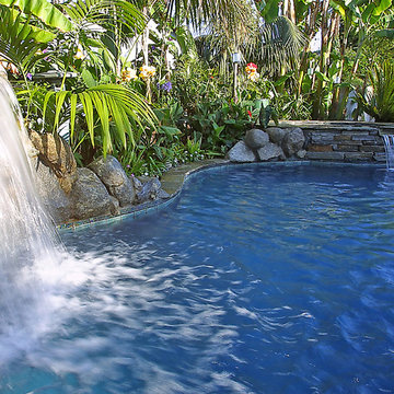 BEAUTIFUL FREFORM TROPICAL POOLS