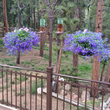 Plant Hanger/Bird Feeder