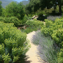 backyard landscape