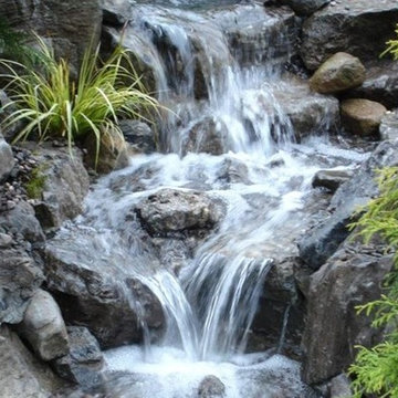 Pond Paradise Designs assorted photos