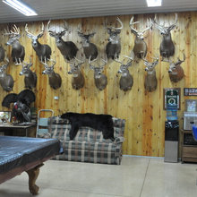 Basement - mancave
