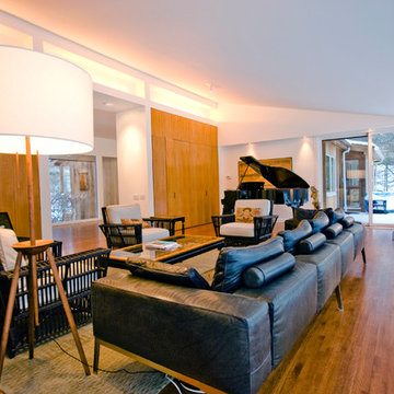 Chappaqua Contemporary Living Room with Storage