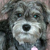 Wendi Derringer Brown's photo