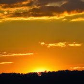 Adam Rowland's photo