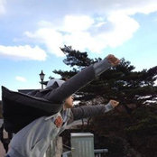 Solkyu Park's photo