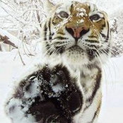 Becky Madison Rekward's photo