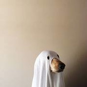 Keith Davison's photo