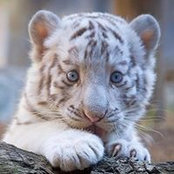 Katherine Tong's photo