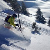 Giles Gale's photo