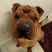 Angela Corrigan's photo