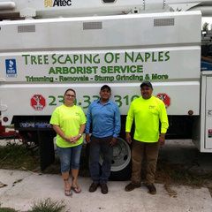 Tree Scaping of Naples, Inc.