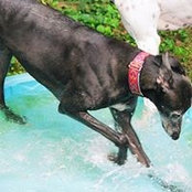 Suzanne Reep's photo
