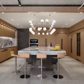 Smart Home: Lighting Control, WiFi, Audio, and Video