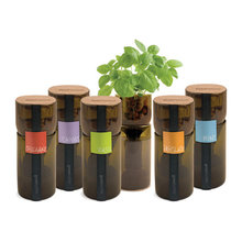 herbs