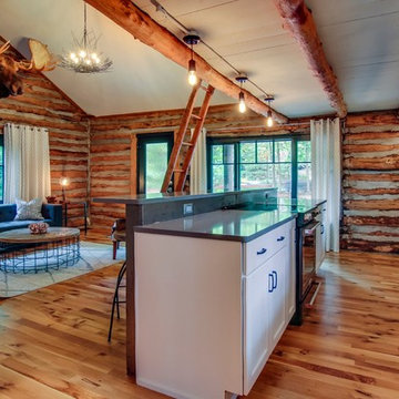 Log Cabin Cottage Reno