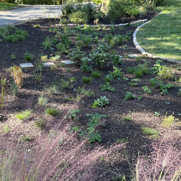 After installation of pollinator garden
