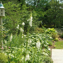 Landscape bird houses examples to choose 2012