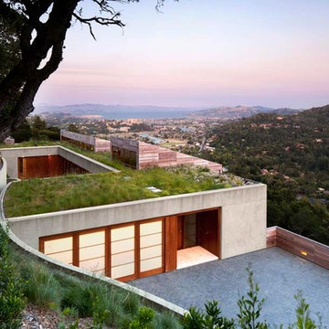 Kentfield Residence
