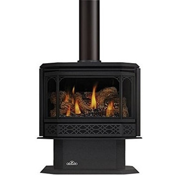 Napoleon Havelock GDS50 Direct Vent Gas Stove, Natural Gas