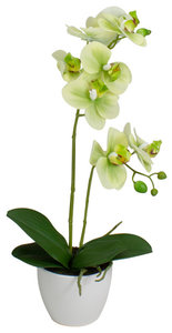 14" Ivory Green and White Artificial Orchid Potted Plant Tabletop Decor