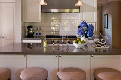 Example of a transitional kitchen design in Chicago
