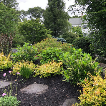Heart Garden