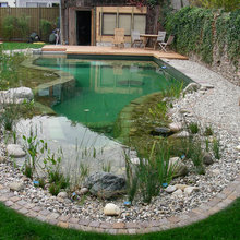 Natural Pool