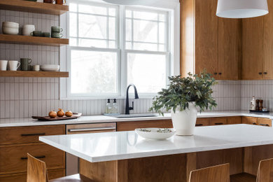 Kitchen - transitional kitchen idea in Boston