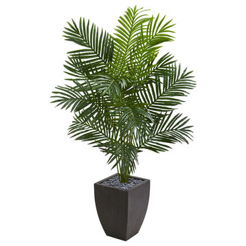 5.5' Paradise Artificial Palm Tree, Black Planter