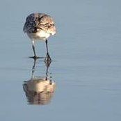 Jennifer Watson's photo