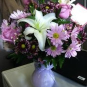 Meredith ODonnell's photo