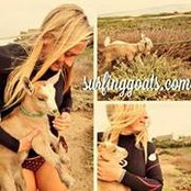 Angelique Kenney's photo