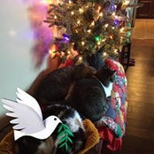 Mary Bruno Grimball's photo