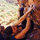 brandy_still
