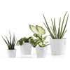Ecopots Amsterdam Indoor - Outdoor, Planter Flower Pot, Mini Pure White, 7"