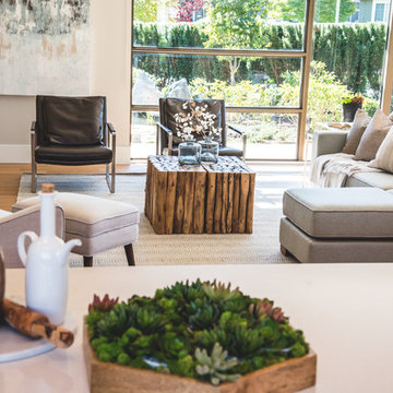 Family Room - Transitional