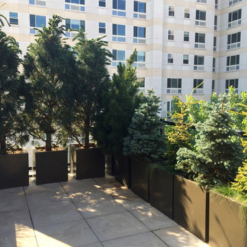 Harlem Rooftop Garden